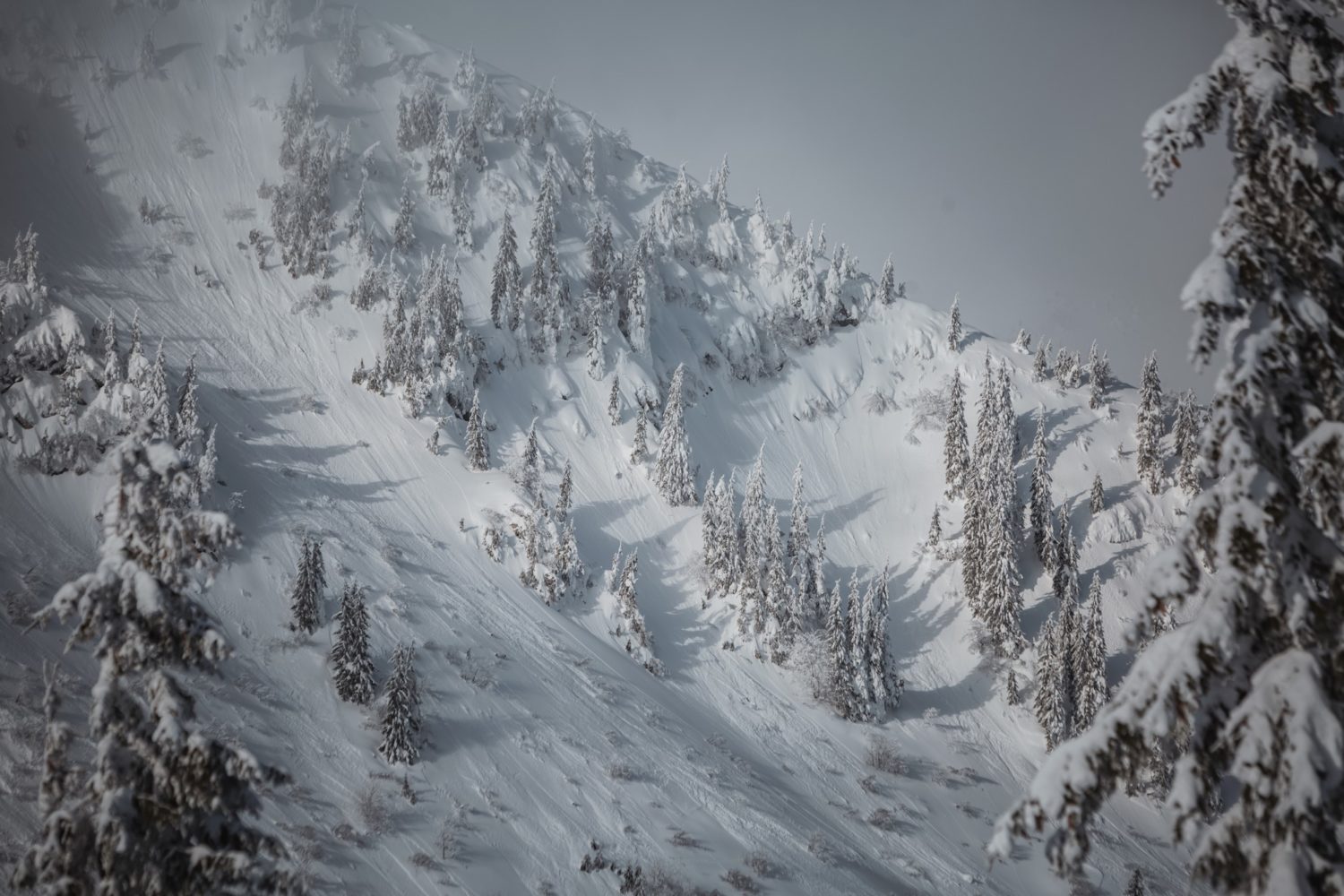 метеостанція пожижевська